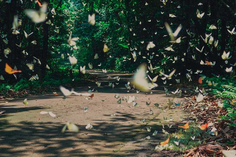 HƯNG YÊN - CÁT BÀ - HƯNG YÊN